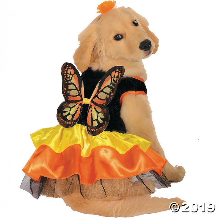 Butterfly Dog Costume (1 Piece(s)) Butterfly Dog Costume (1 Piece(s))