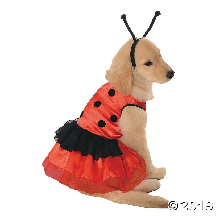 Lovely Ladybug Costume