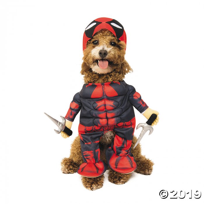 Deadpool Dog Costume - Small (1 Piece(s))