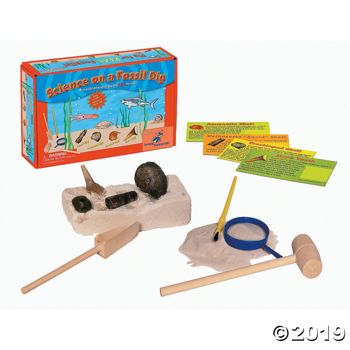 Science On A Fossil Dig (1 Piece(s)) Science On A Fossil Dig (1 Piece(s))