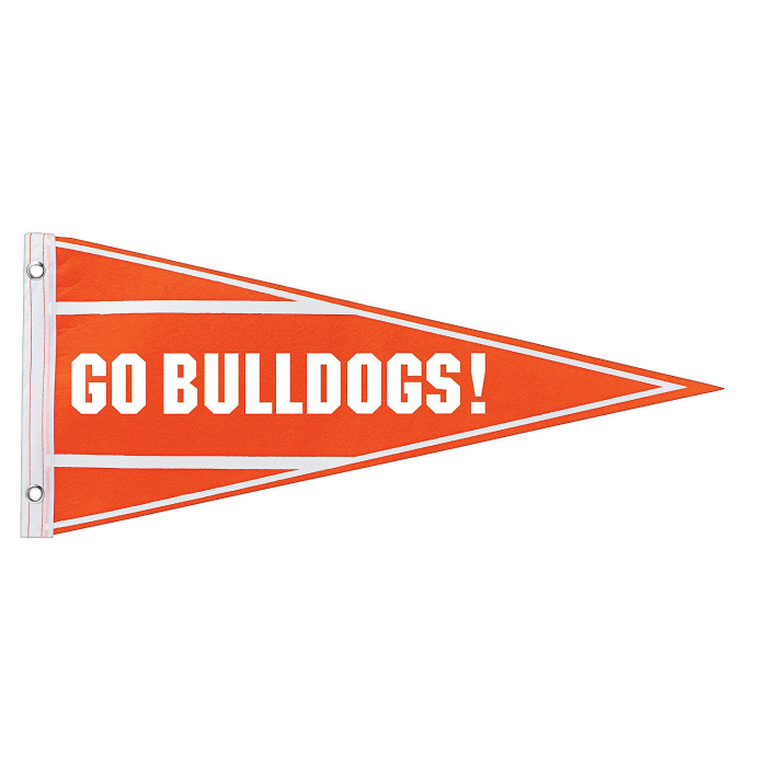Personalized Orange Pennant Banner (1 Piece(s))
