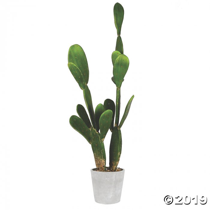 Vickerman Artificial 29" Green Cactus Plant (1 Piece(s))