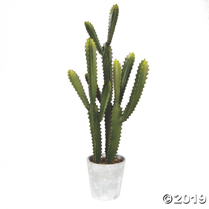 Vickerman Artificial 29" Green Cactus Plant (1 Piece(s))