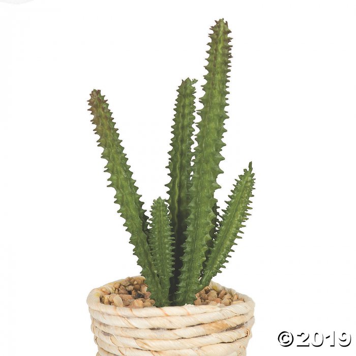 Vickerman 5" Potted Succulent Cactus Plants - 3/pk (1 Set(s))