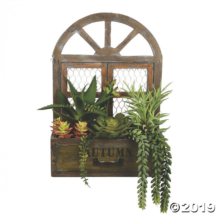 Vickerman 16" Artificial Assorted Succulents in Hanging Box (1 Piece(s))
