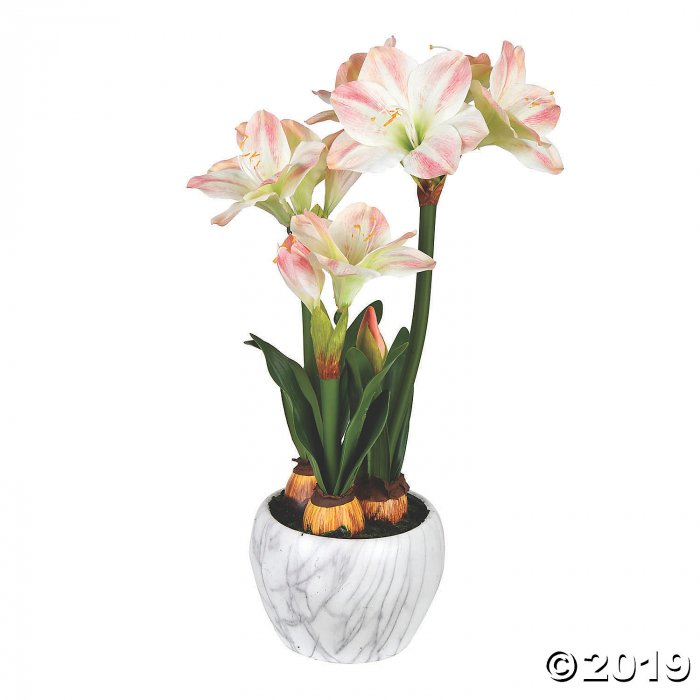 Vickerman 25" Pink Amaryllis Floral Arrangement (1 Piece(s))