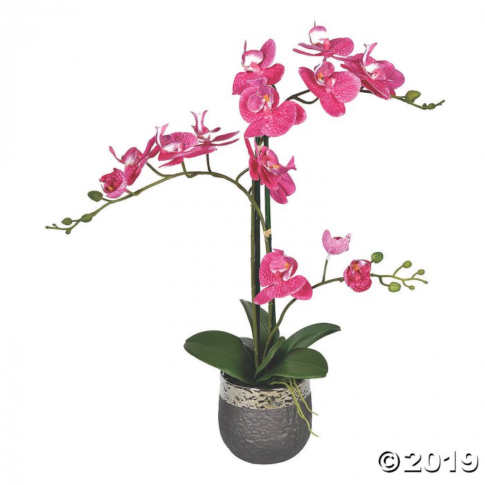 Vickerman 23.5" Potted Real Touch Mauve Phalaenopsis Spray (1 Piece(s))