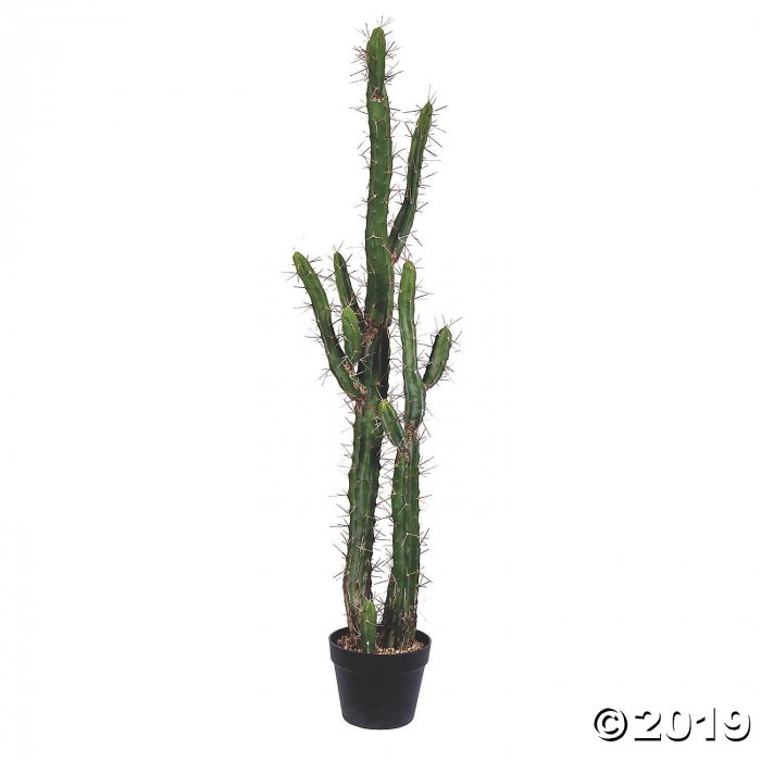 Vickerman 46" Green Cactus in Black Plastic Planters Pot (1 Piece(s))