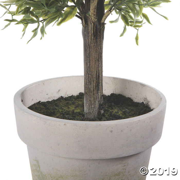 Vickerman 6' Triple Lavender Topairy (1 Piece(s))