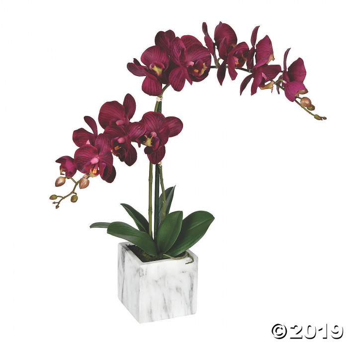 Vickerman 25" Potted Real Touch Dark Purple Phalaenopsis Spray (1 Piece(s))