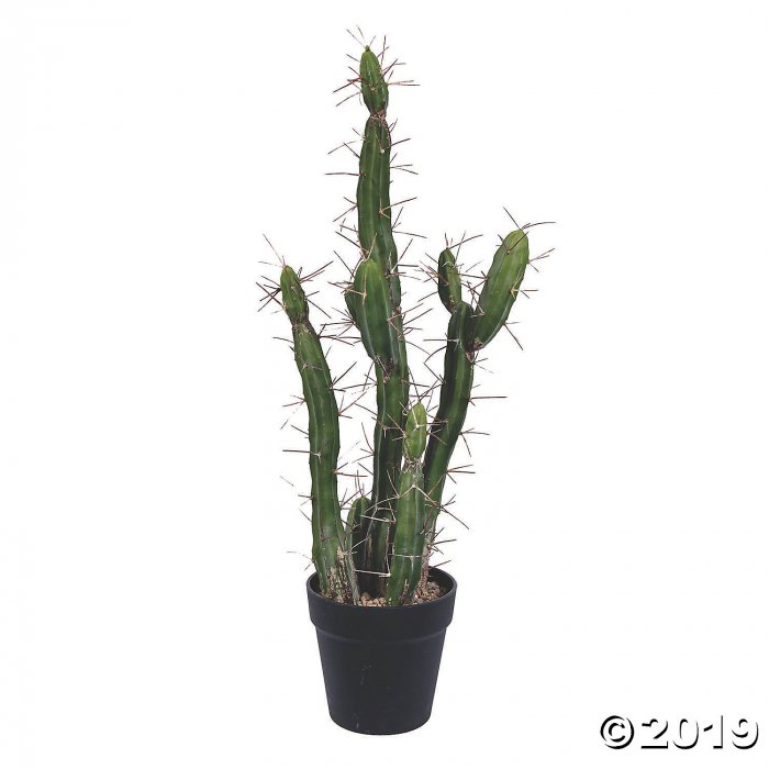 Vickerman 24" Green Cactus, comes in a Black Plastic Planters Pot (1 Piece(s))