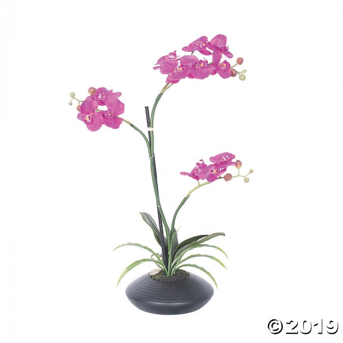 Vickerman 25" Artificial Purple Potted Orchid (1 Piece(s))