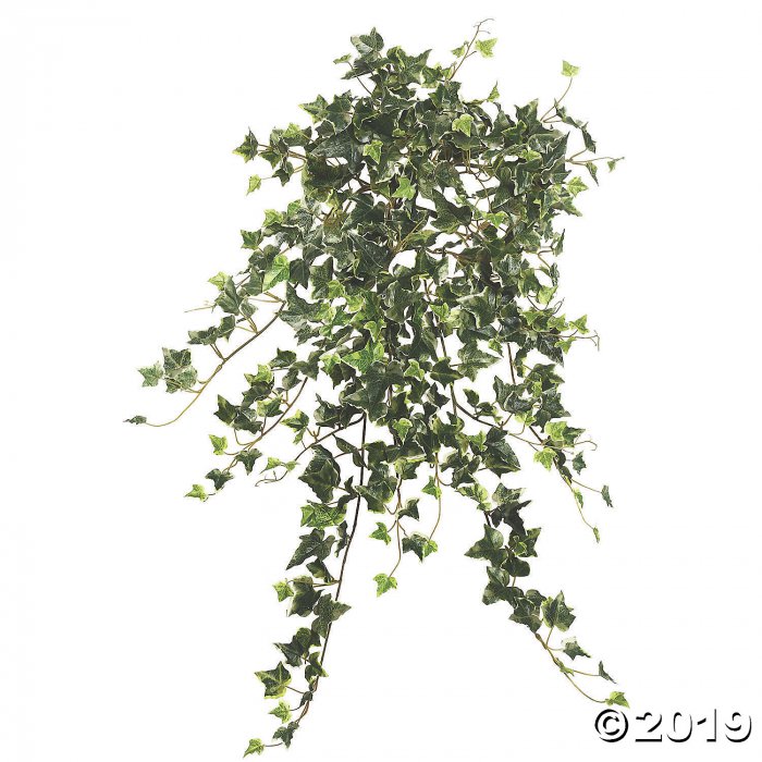 Vickerman 26" Artificial Variegated Mini Ivy Hanging Bush (1 Piece(s))