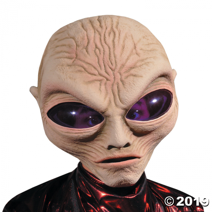 Adult's Alien Grey Mask (1 Piece(s))