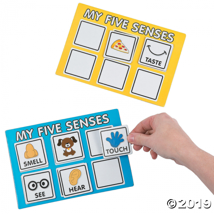 Five Senses Sorting Game (1 Set(s))