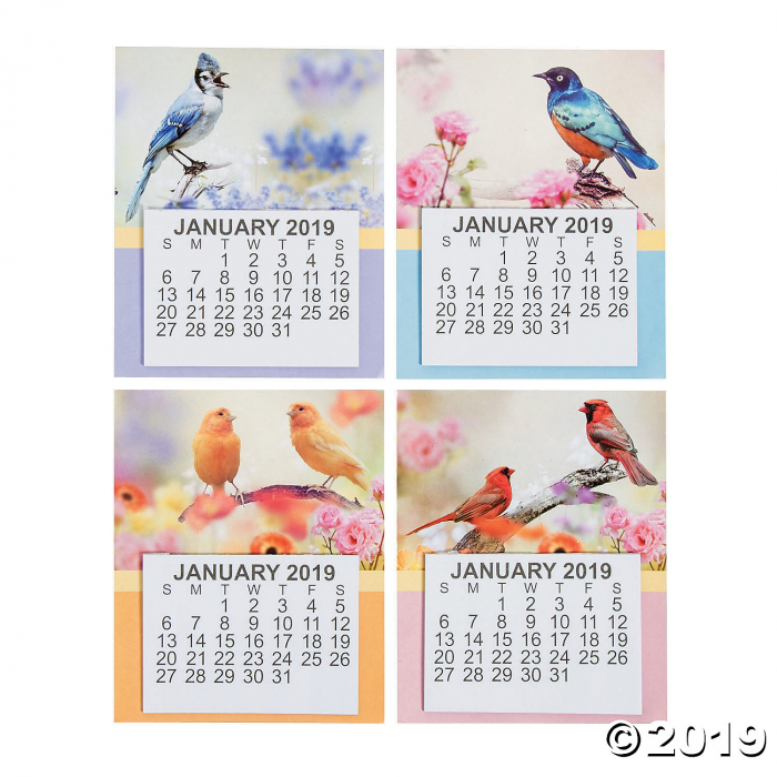 2019 Large Print Bird Calendar Magnets (Per Dozen)