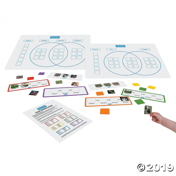 Food Chains Game (1 Piece(s))