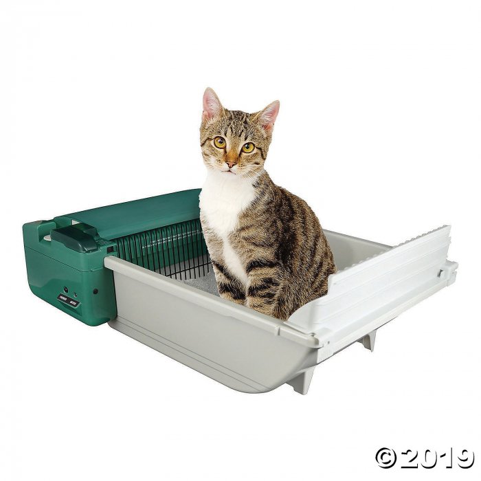 Cclean Cat лоток. Smartscoop самоочищающийся лоток для кошки. Automatic Litter Box. Сушильный бокс для кошек. Self pet none позволяет