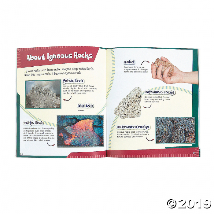 Capstone® Books My First Picture Encyclopedias - Set of 8 (1 Set(s))