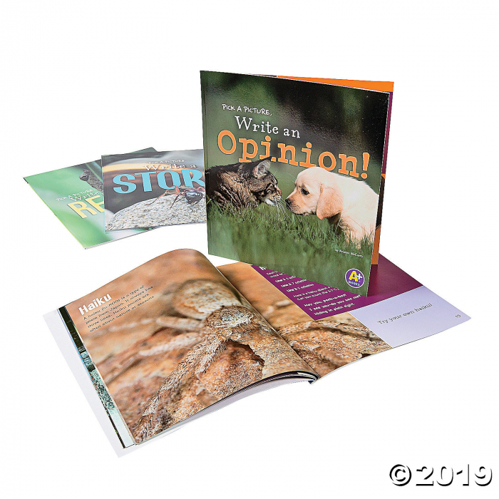 Capstone® Little Scribe Books - Set of 4 (1 Set(s))