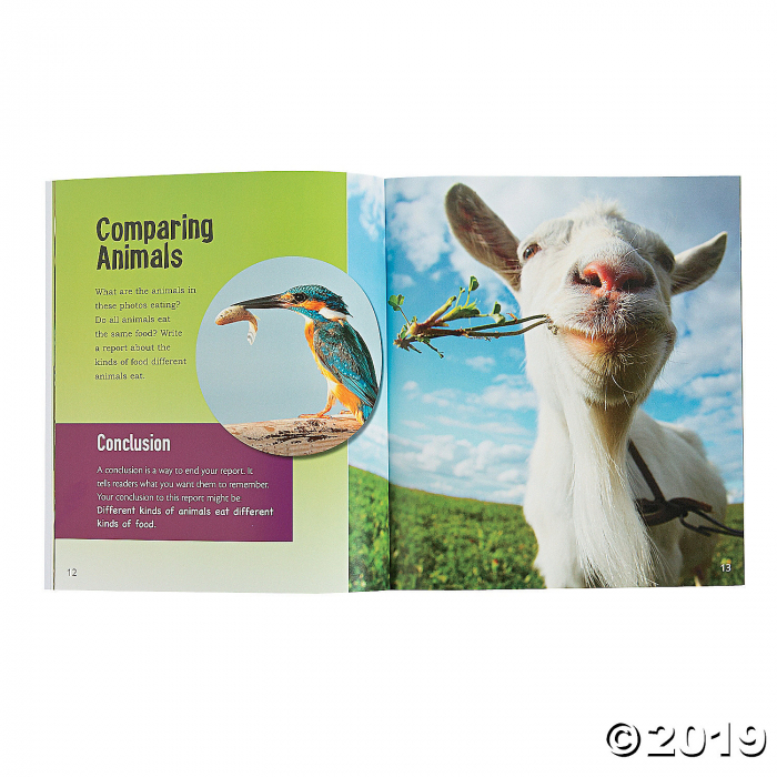 Capstone® Little Scribe Books - Set of 4 (1 Set(s))