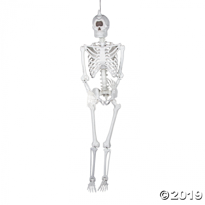 Life-size Cyclops Skeleton Halloween Decoration (1 Piece(s))