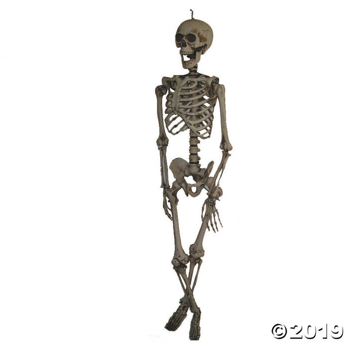 Life Size Hanging Skeleton Halloween Decoration