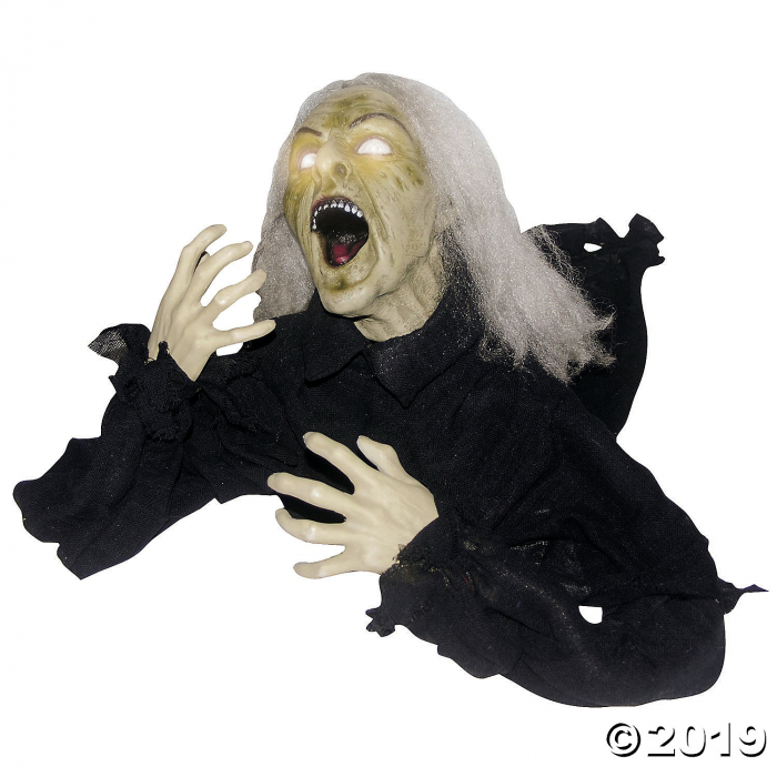 Groundbreaker Head Turning Witch Halloween Decoration (1 Piece(s))