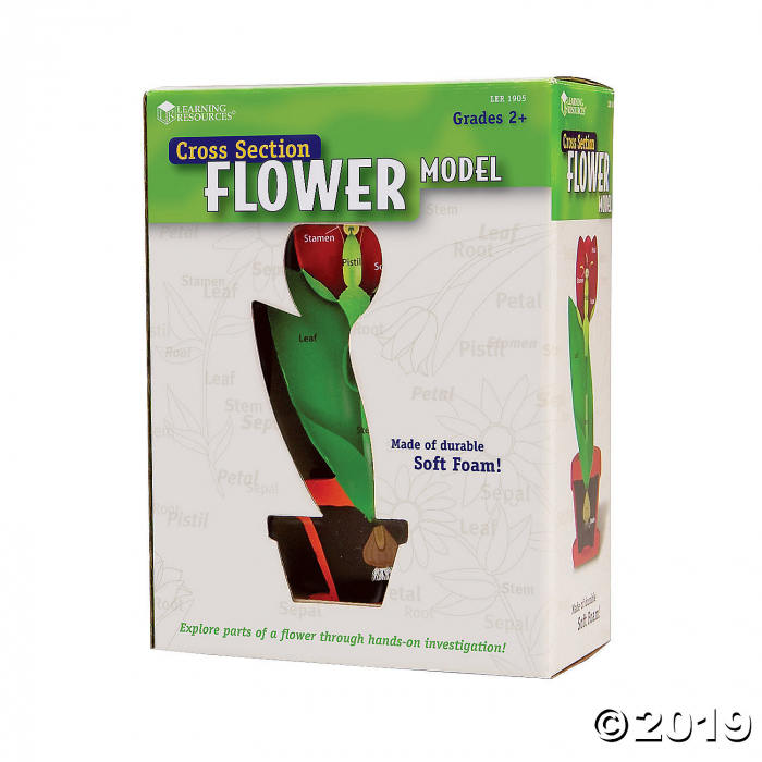 Learning Resources® Cross-Section Flower Model (1 Set(s))
