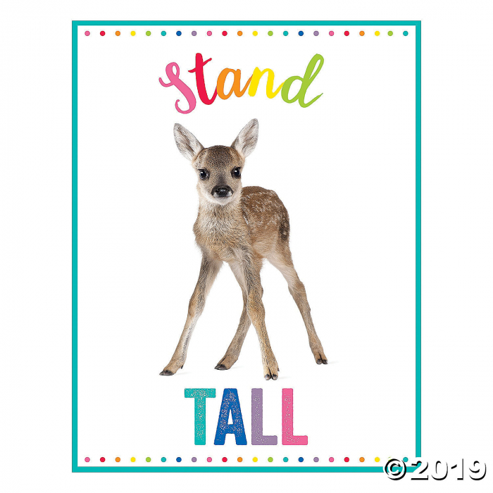 Schoolgirl Style Woodland Whimsy Poster Set (5 Piece(s))
