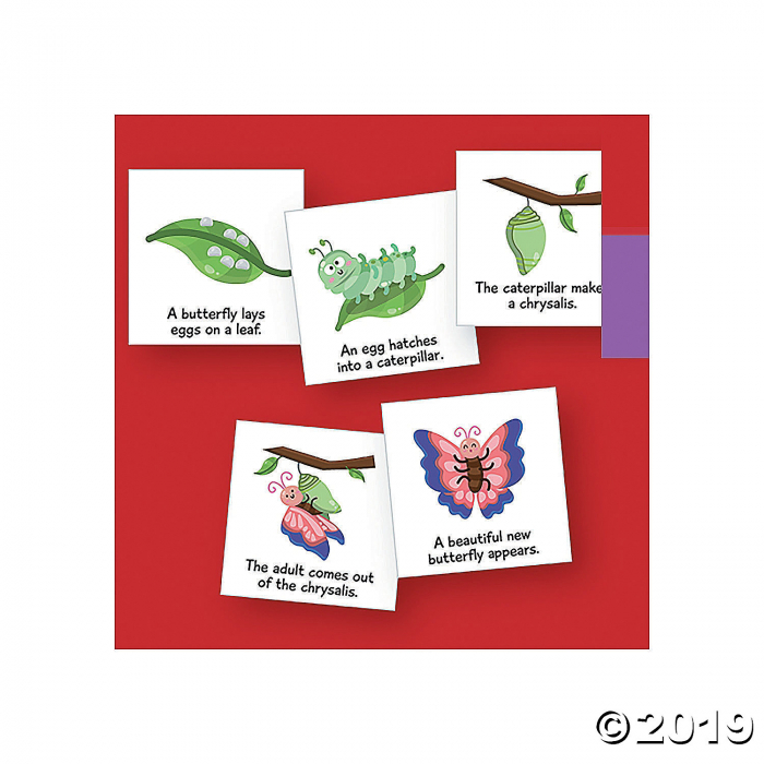 Magnetic Life Cycles - Butterfly (1 Set(s))