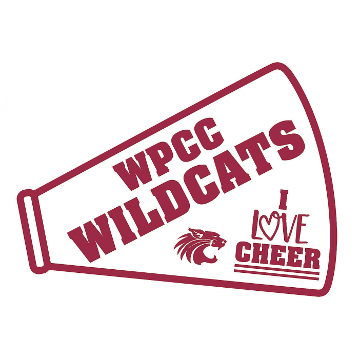 Custom Photo Cheerleading Rally Sign (1 Piece(s))