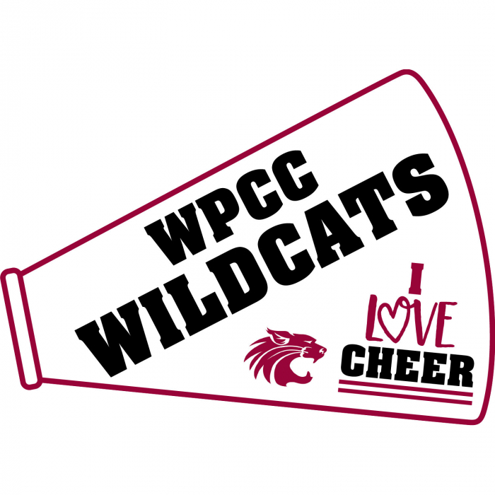 Custom Photo Cheerleading Rally Sign (1 Piece(s))
