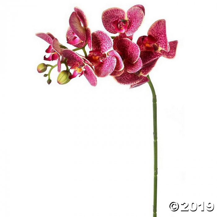 Phaleanopsis Spray 28"-Russet (1 Piece(s))