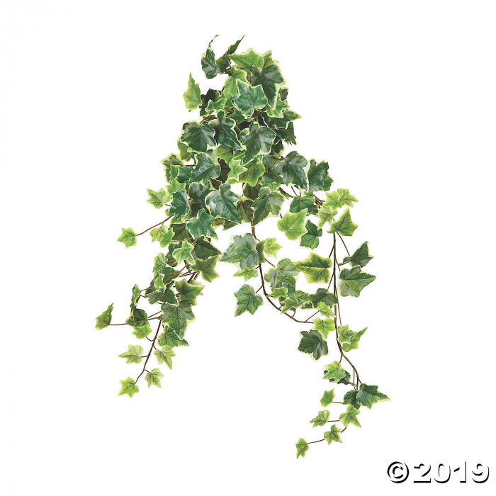 Vickerman 28" Varigated Ivy Hanging Bush (1 Piece(s)) Vickerman 28" Varigated Ivy Hanging Bush (1 Piece(s))