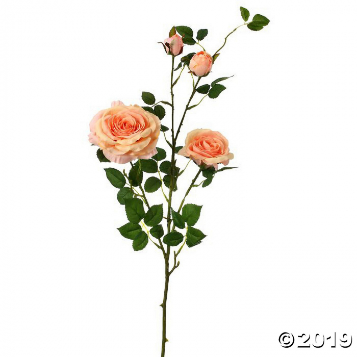 Hermes Rose Branch X4 36"-Peach (1 Piece(s))