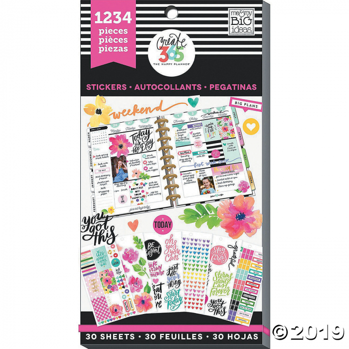 Happy Planner Sticker Value Pack-Today Is The Day, 1234/Pkg (1234 Piece(s))