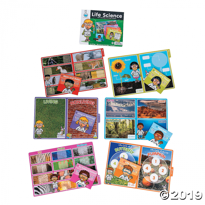 Life Science File Folder Game (6 Set(s))