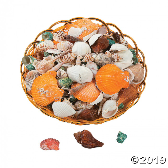 Basket of Assorted Sea Shells Basket of Assorted Sea Shells