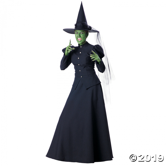 Women's Deluxe The Wizard of Oz Wicked Witch Costume - Medium (1 Piece(s)) Women's Deluxe The Wizard of Oz Wicked Witch Costume - Medium (1 Piece(s))