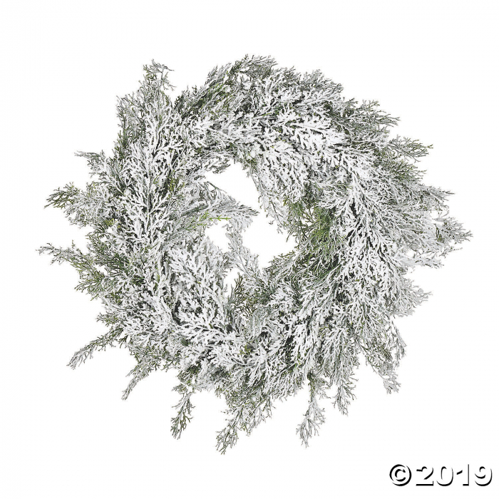 Vickerman 24" Snowy Cedar Wreath (1 Piece(s))