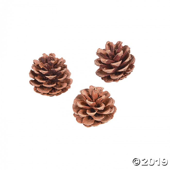 Natural Pinecones (Per Dozen)