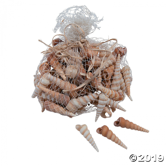 Turritella Shells (70 Piece(s)) Turritella Shells (70 Piece(s))