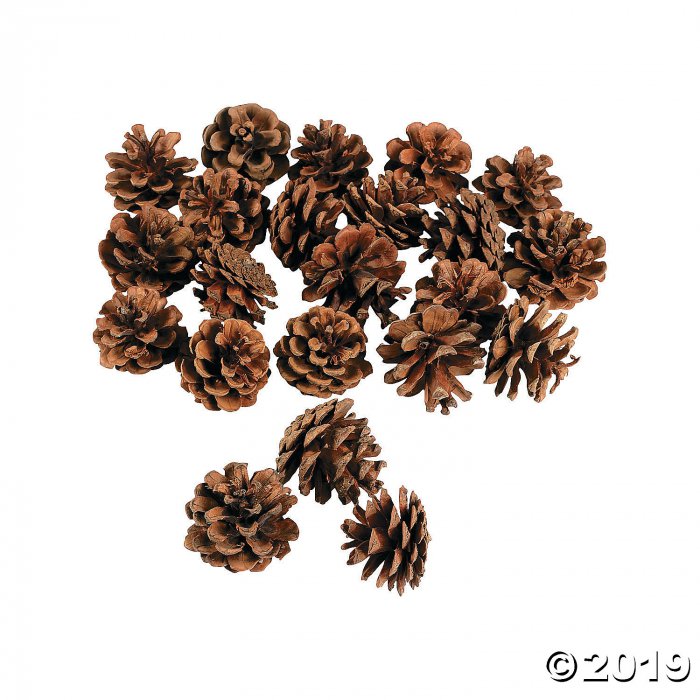 Mini Natural Pinecones (24 Piece(s))
