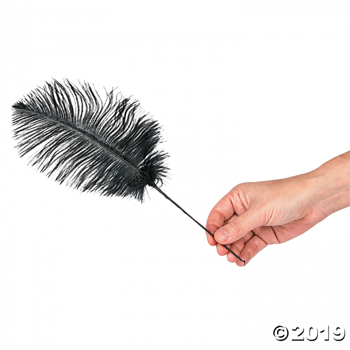 Black Ostrich Feathers (24 Piece(s))