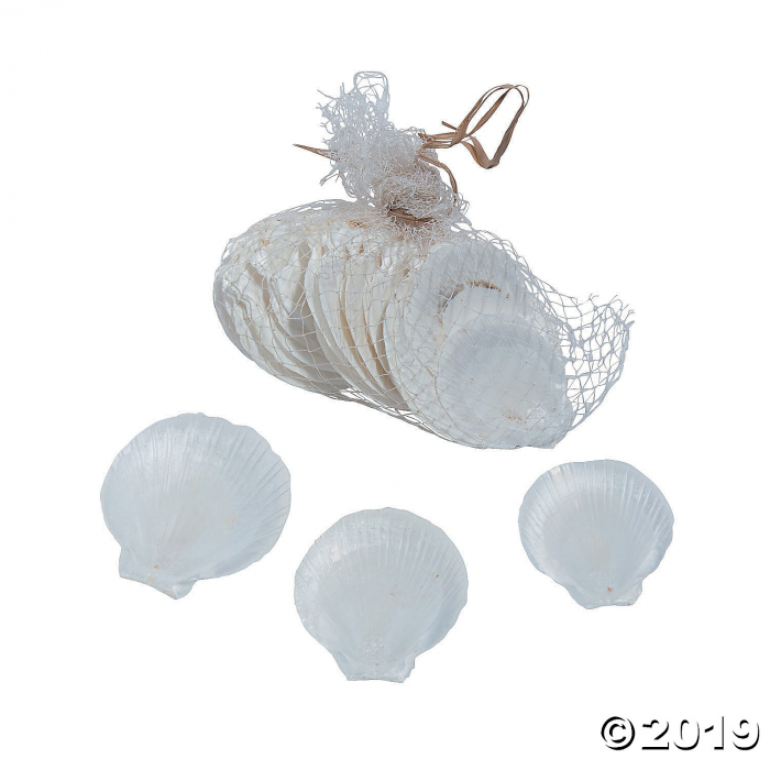 Moon Seashells (40 Piece(s)) Moon Seashells (40 Piece(s))