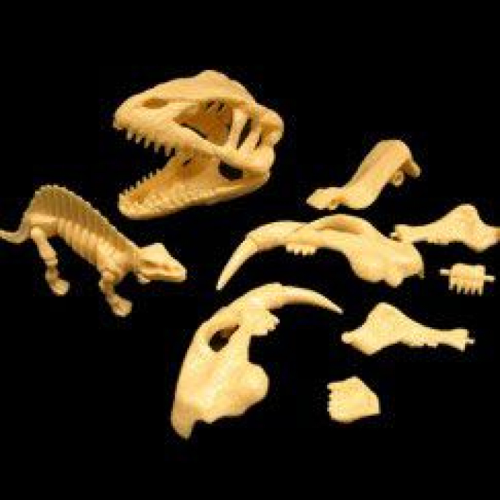 Small Dinosaur Skeleton Puzzles (Per 12 pack)