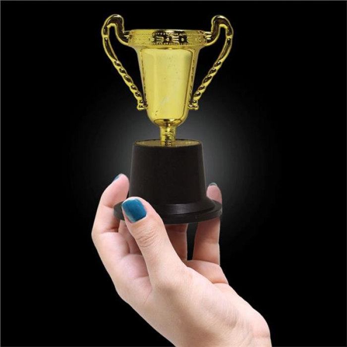 Gold Award Trophy Cup