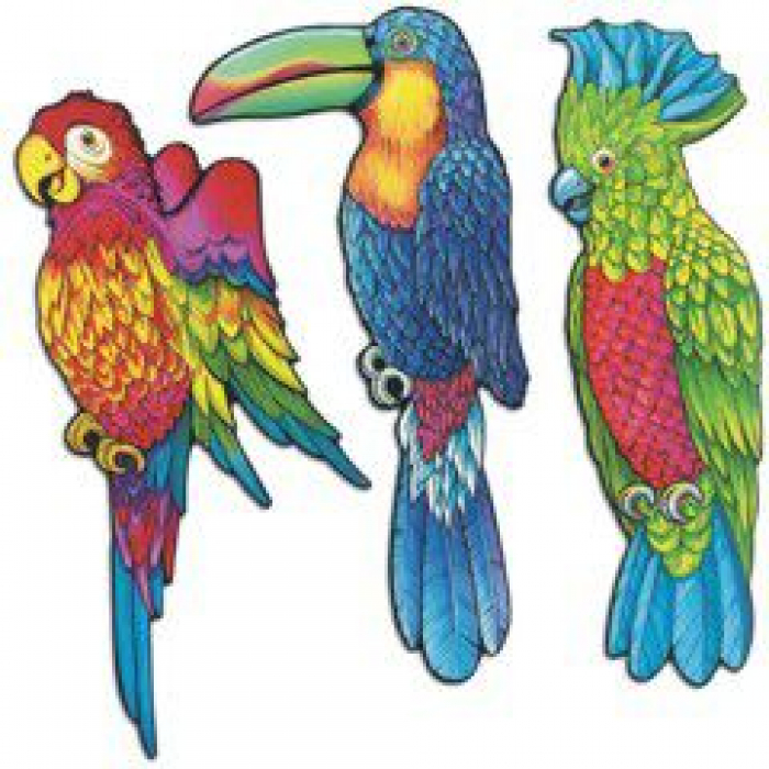 Exotic Birds Cutouts