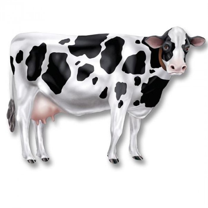 Cow Jointed Cutout